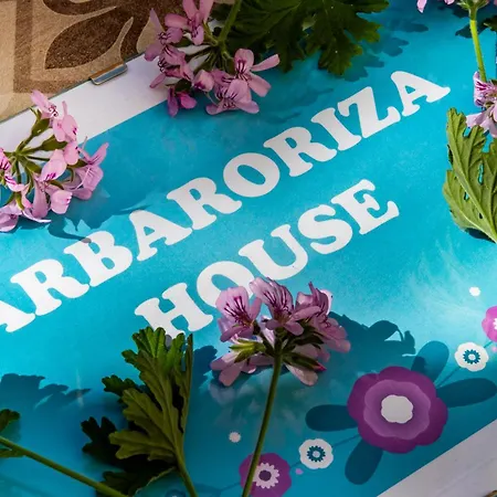 Skopelos Arbaroriza House With Sea View * Скопелос